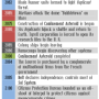 timeline.png